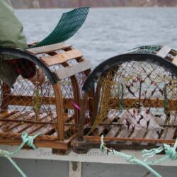 Trousse d'accompagnement pour le transfert d'une entreprise de pêche
