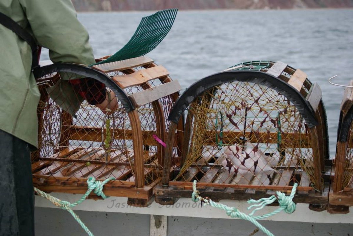 Trousse d'accompagnement pour le transfert d'une entreprise de pêche