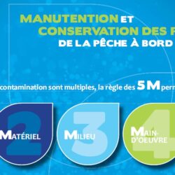 Guide de manutention et de conservation des produits de la pêche à bord du bateau