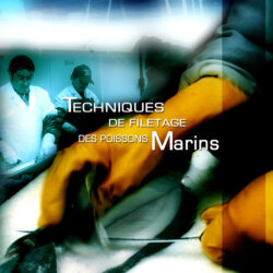 Techniques de filetage des poissons marins