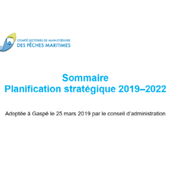 Sommaire de la planification stratégique 2019-2022