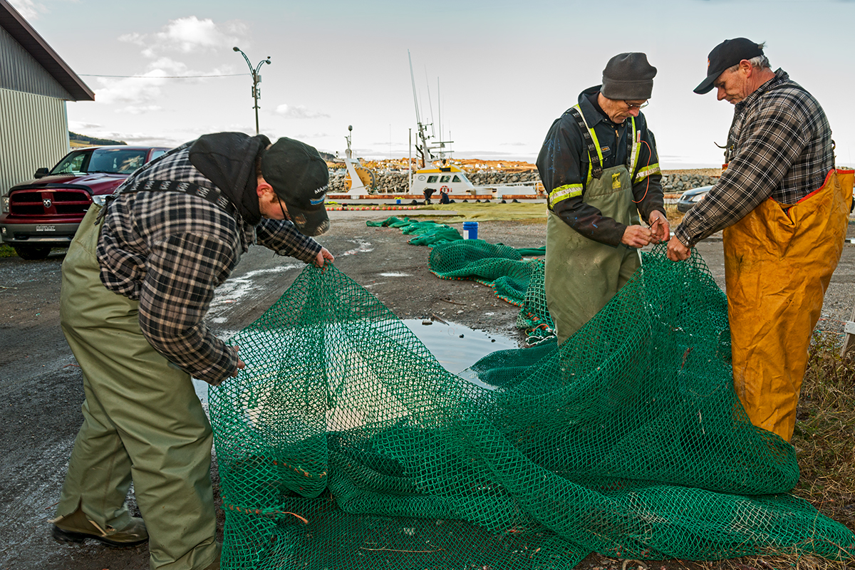 Bilan – premier colloque annuel
