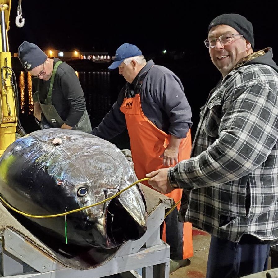 Formations sur la manipulation du thon