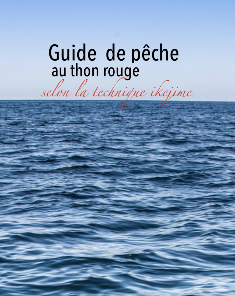 Guide de pêche au thon rouge selon la technique ikejime