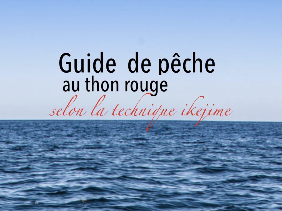 GUIDE DE PÊCHE AU THON ROUGE SELON LA TECHNIQUE IKEJIME