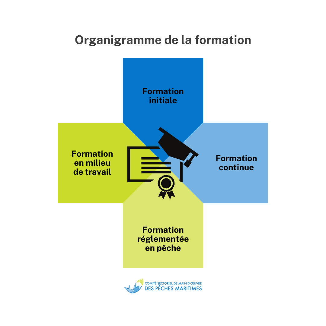 Référez-vous à notre organigramme de la formation!